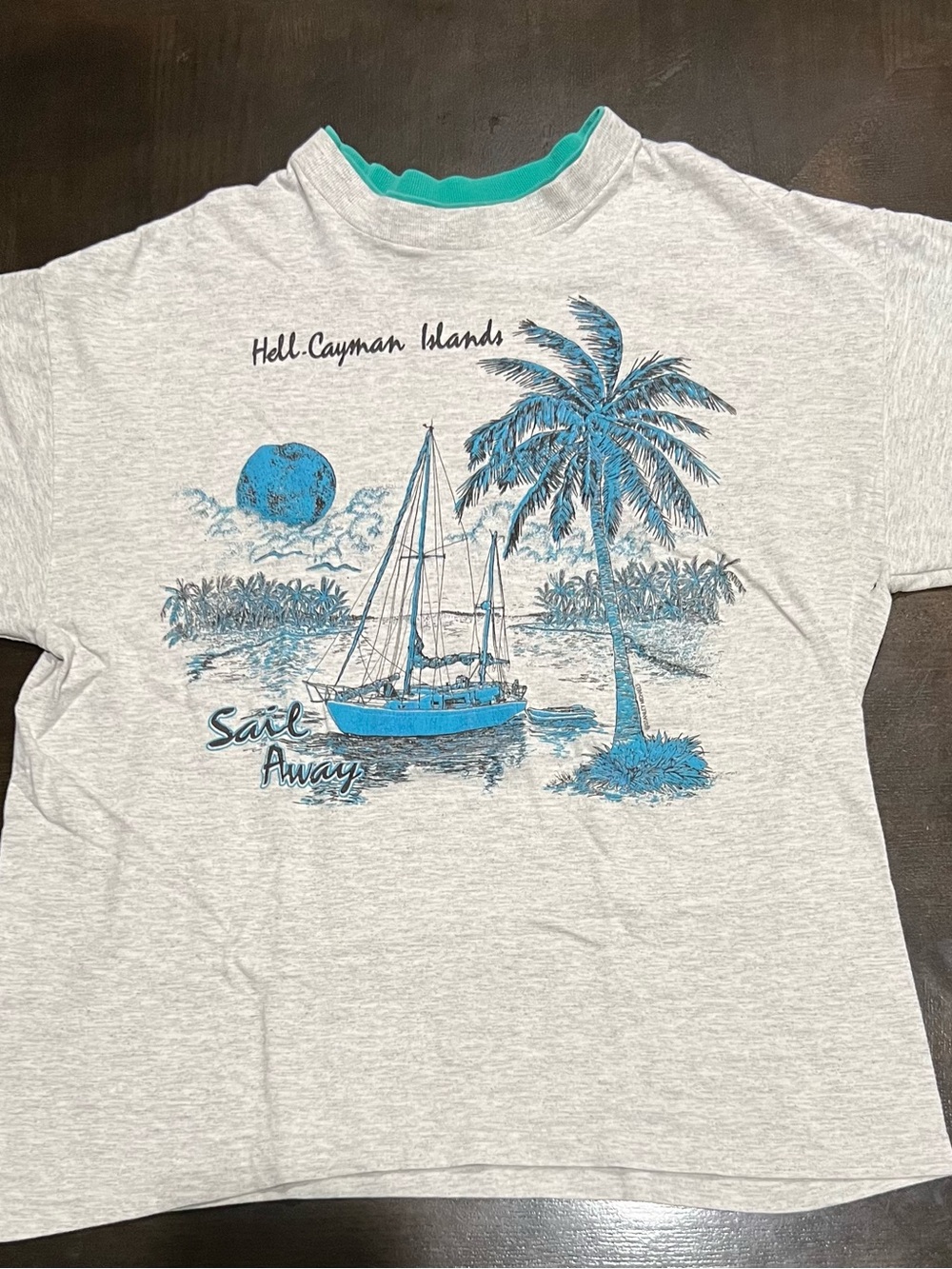 Stanley Michaels Men's L Gray Cotton Knit Crew Neck Sail Away Graphic T-Shirt